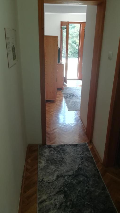 Vila Zoran Apartment Zlatibor Bagian luar foto